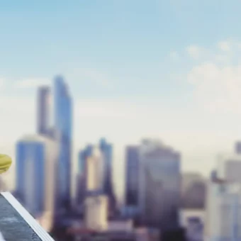 Sprint Insights in zwei Tagen